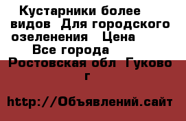 Кустарники более 100 видов. Для городского озеленения › Цена ­ 70 - Все города  »    . Ростовская обл.,Гуково г.